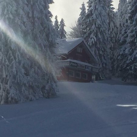 Auerhahn Hotel Feldberg  Bagian luar foto