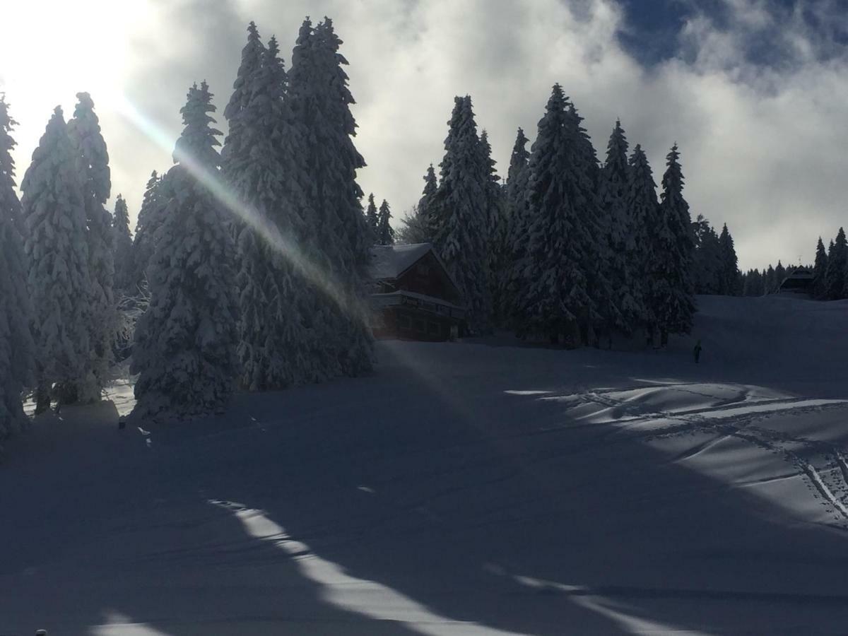 Auerhahn Hotel Feldberg  Bagian luar foto