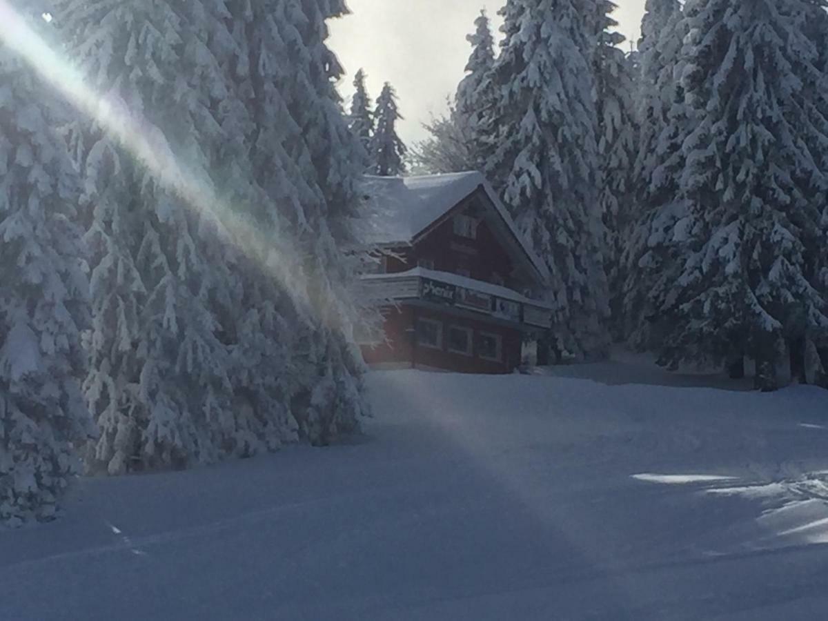 Auerhahn Hotel Feldberg  Bagian luar foto